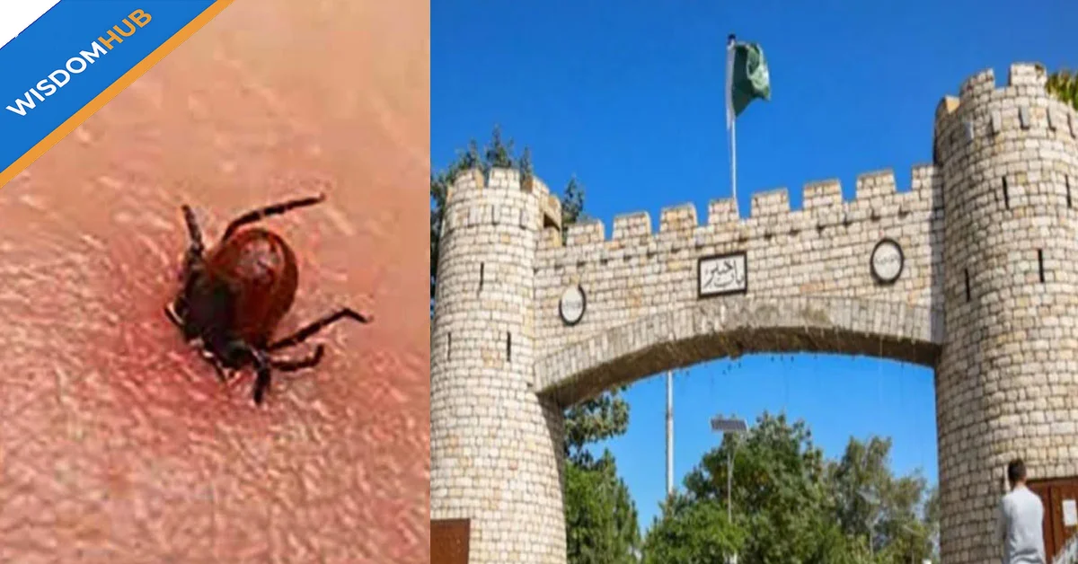 Congo Virus High Alert Issued for Khyber Pakhtunkhwa Hospitals