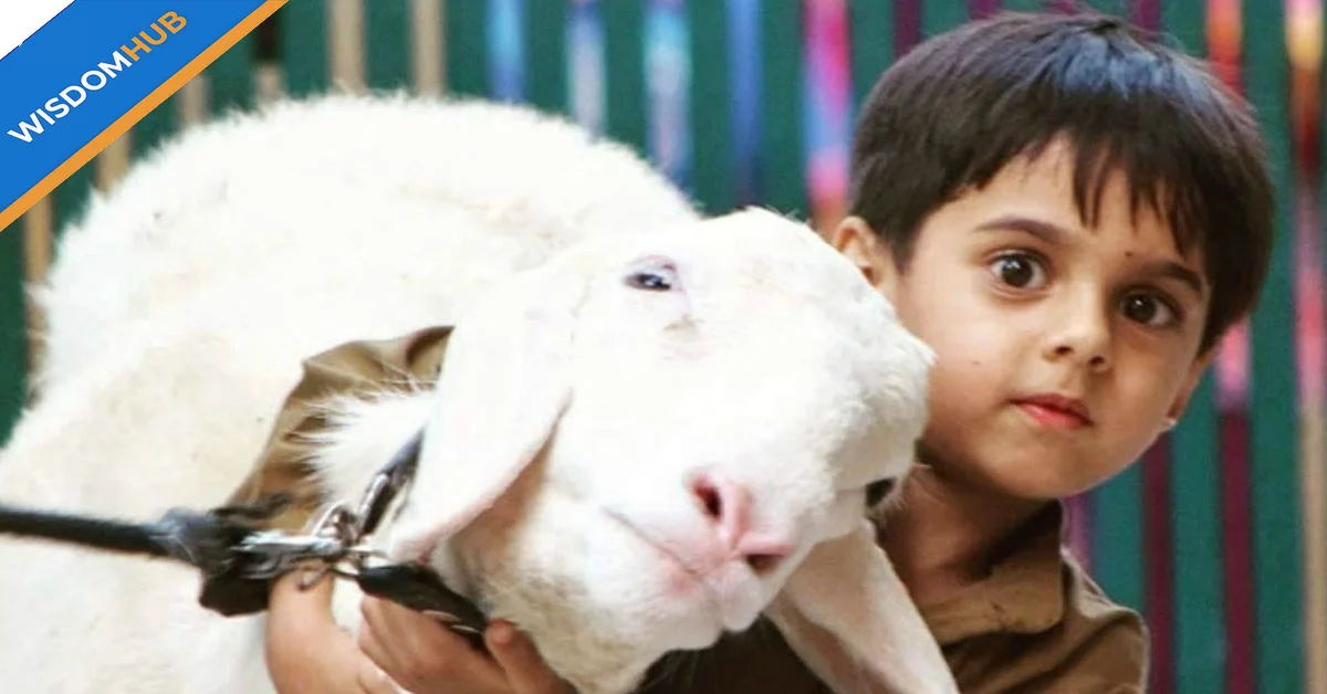 Eid-ul-Adha 2024: Scientific Prediction Suggests Celebration Date in Pakistan