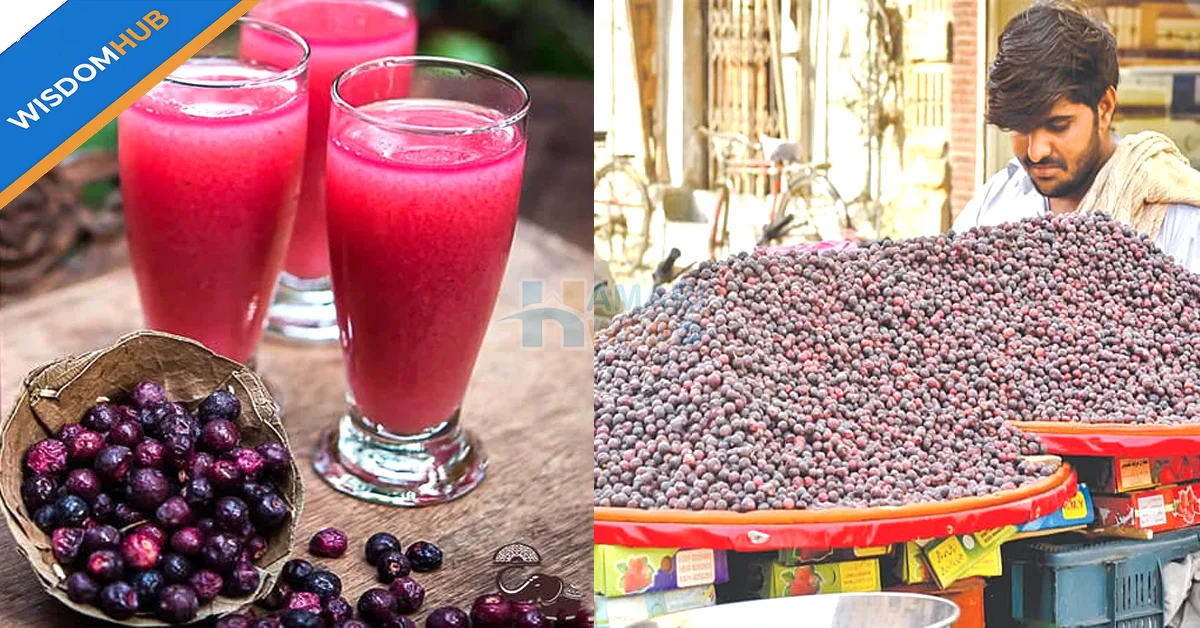 Health Benefits of Falsa: A Summer Superfood for Diabetes and Blood Pressure