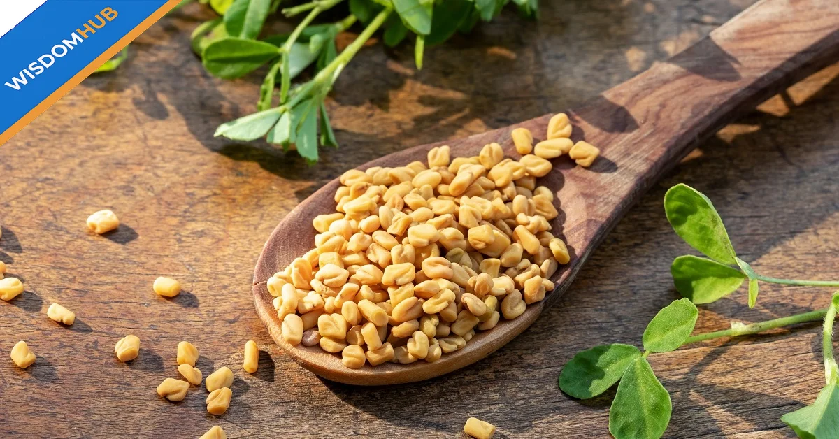 The Hidden Health Benefits of Soaked Fenugreek Seeds: A Comprehensive Guide