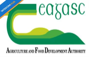 Walsh Scholars Programme 2026 in Ireland | Fully Funded Research Scholarship